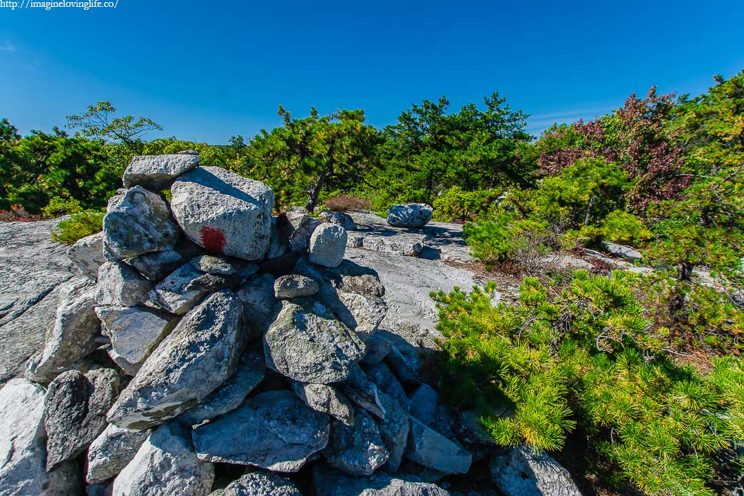 millbrook mountain red trail